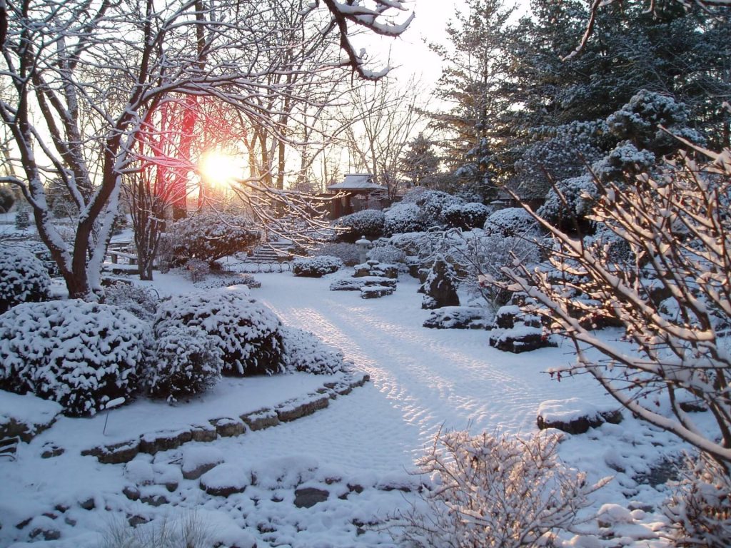 RBG Japanese Garden in Winter