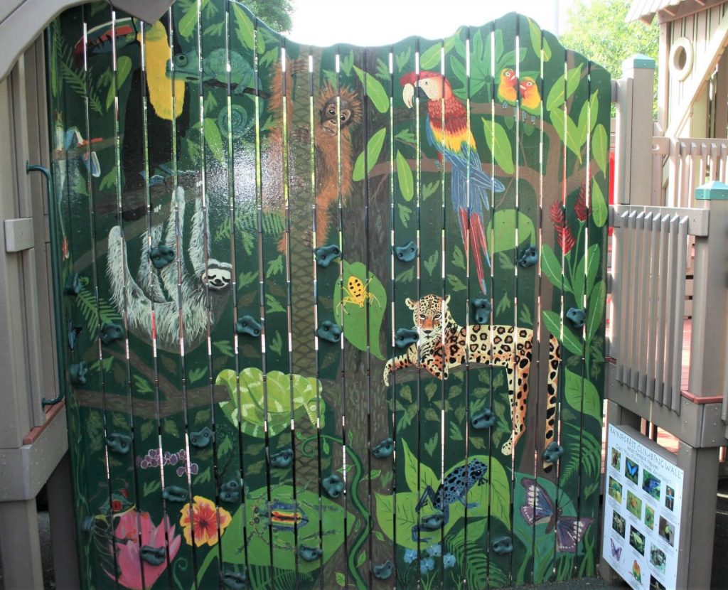 Rainforest Climbing Wall Painted by Teresa Nguyen
