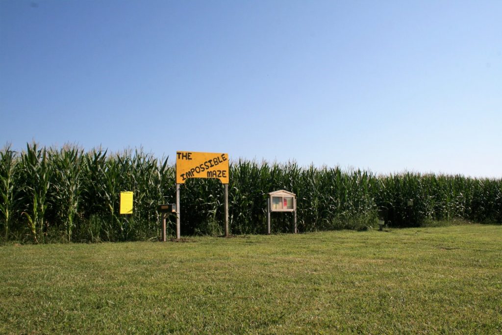 Skelly's 2018 corn maze